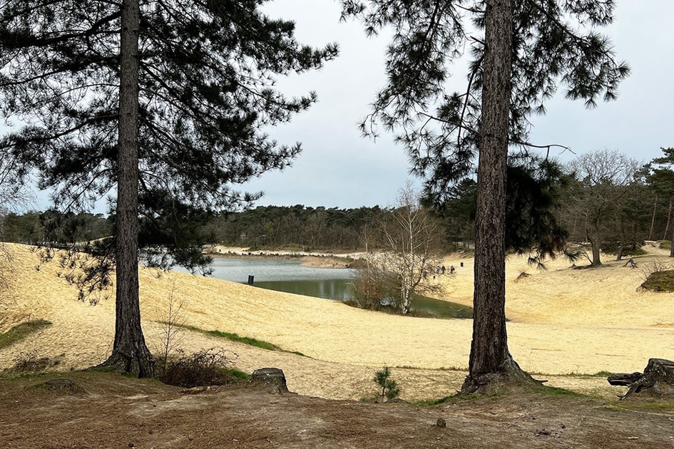 Natuurgebied De Bergse Heide